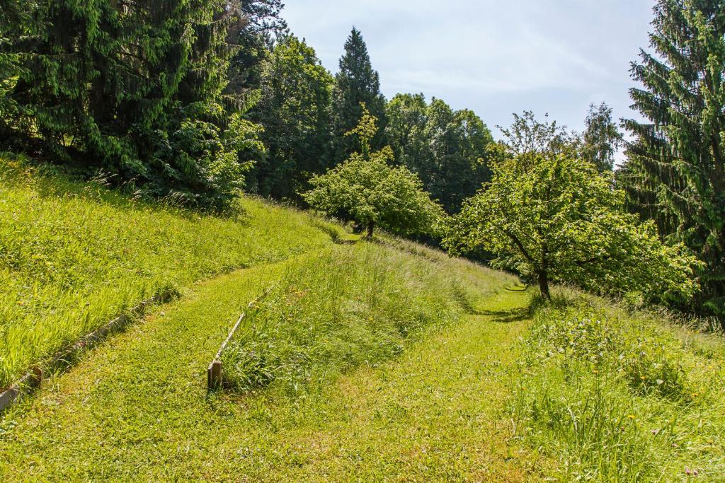 Caritas Tagungszentrum Freiburg im Breisgau Exteriér fotografie