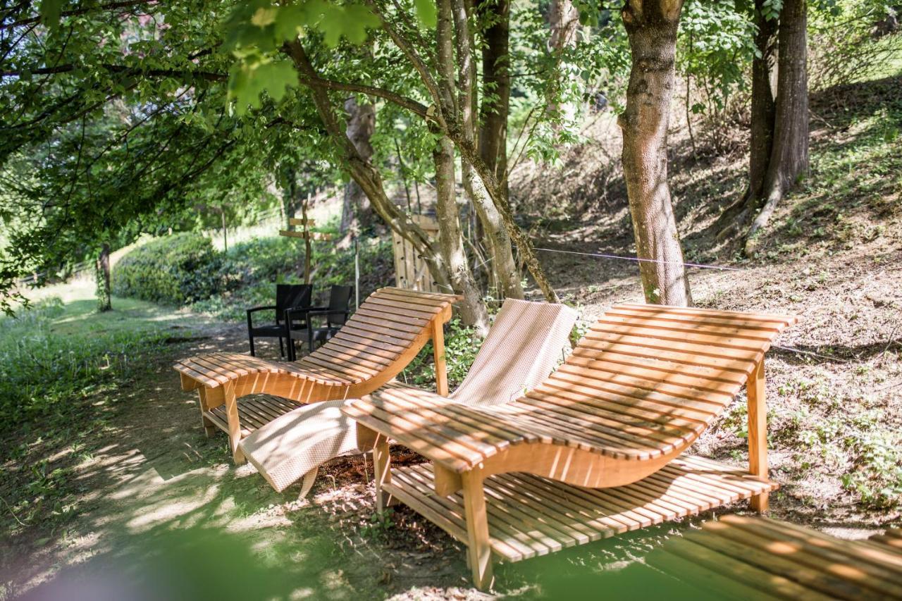 Caritas Tagungszentrum Freiburg im Breisgau Exteriér fotografie